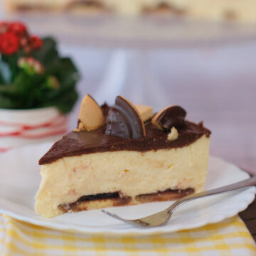 Jaffa cheesecake recept